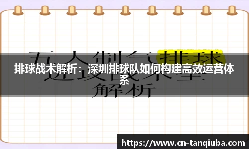 排球战术解析：深圳排球队如何构建高效运营体系